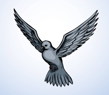 Kutsal, sevimli, vahşi bir biyoloji, hafif bir sevinç süzülüyor. Tanrı 'ya dua et. Kara çizgi, İncil' deki soyut sanat eserlerine yardım etsin. İyi huylu hayalet kuyruk tüylerini avlar. Umarım kutsal üçlüyü kutlarız.