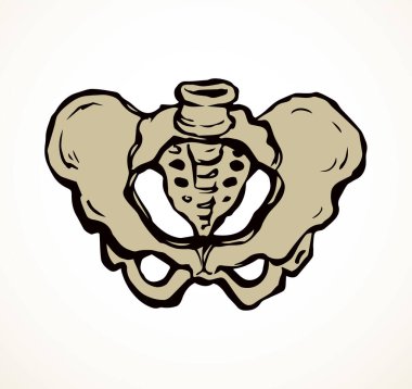 Önden beyaz, yaşlı, hasta, iliak gövde, kasık, bacak, uyluk ağrısı tedavisi, röntgen ışını yaralanması logosu. Elle çizilmiş siyah tıbbi röntgen omurga ağrısı çizimi çizim çizimi çizimi