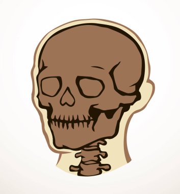 Yakın görüş eski natur craniu baş deliği kısmı omurga tarama bölümü x ışını ölüm logosu çizilmiş el çizgisi ölü omurga yaralanması hasta ağrı testi soyut çizgi çizim sanat konsepti