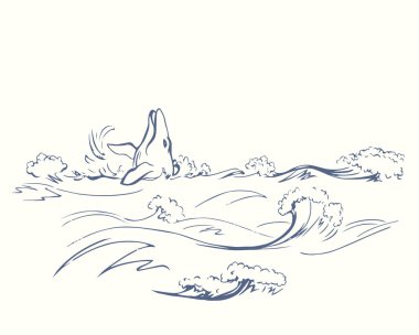 Cute aqua old giant sperm minke fin foam view light sky text space backdrop. black ink pen outline hand drawn big huge deep clear storm biology life eat fauna icon sign logo emblem design art style