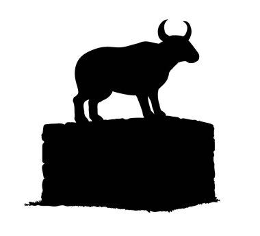 Orta Doğu 'da büyük bir taş Mısır' da altın sarısı Yahudi efsanesi beyaz kral ritüel boynuzu çiftliği erkek sığır ağası tapınağı simgesi el çizimi doğa tarlası tepesi parkı eskizi kutsal Musa hukuku sanatı grafik tarzı