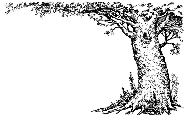 Büyük bir çiftlik, akçaağaç çalısı, koyu siyah mürekkep çizgisi, güz dönemi seyahat sanatı. Hafif sakin bir sabah hayatı büyük bir meşe palamudu yaprağı hatta simge görünümlü metin alanı kırsal bahçe gölü çizimi sanatçı çizimi