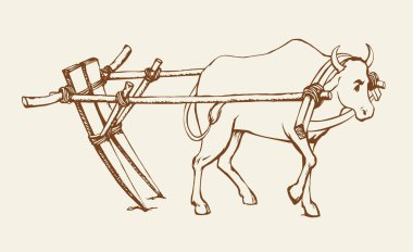 Siyah çizgili erkek karabao canavarı hayvan bridl hasat işçiliği kazıyor. Tarihi köy kültürü ikonu simgesi tarih retro çağı çizimini kapat beyaz gökyüzü arkaplanını izole et