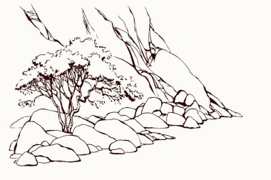 Doğu Arap İnciline ait eski bir Afrika kayalık kanyonu uçurumu, yamaçtaki yemyeşil çalı, manzaralı beyaz gökyüzü metin alanı manzarası. Siyah mürekkep kalem el çizilmiş Sıcak Asyalı sahne retro karikatür sanat dolap tarzı