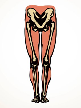 Önde yaşlı bir kadın hasta, ayak parmağı yaralanması, kas dokusu, göğüs ağrısı, hastane bakımı, x ışını yarıçapı, beyaz logo, siyah el, üst fibular bilek zedelenmesi, sıhhhiye, röntgen, acı çizimi, resim çizimi.