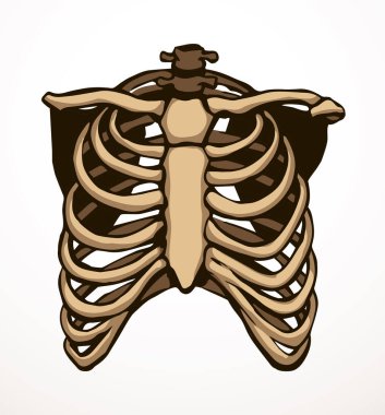 Öndeki beyaz kadın, eklem eklem ağrısı, kol ağrısı, hastane, tedavi, röntgen filmi logosu. Elle çizilmiş kadın doktor röntgeni ölü erkek omurilik rahatsızlığı, akciğer ağrısı sınavı karalama çizimi.
