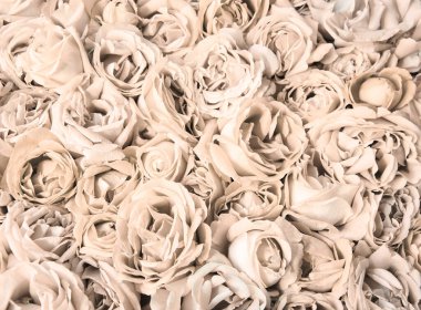 Eski sanat eseri yumuşak pastel mor renk aroma kafa yığını metin kopyalama alanı. Güzel, kırsal festival. Parlak, bereketli bahar tomurcukları. Dekor, kutlama günü hediye kartı.