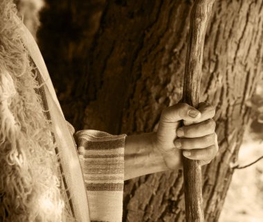 Geçmişe dönük kırsal araç ortaçağ kırsal sürüsü yetişkin, bilge çoban, aziz, duacı, John Baptist, Orta Doğu, kutsal Yahudi, Joseph kürk giysisi, Tanrı 'ya dua et de İncil' den bir simge olsun.