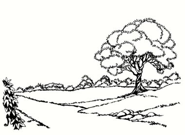 Eski koyu siyah çizgili kalem el çizilmiş sonbahar tatili meşe ağacı çalı sahnesi incil karalama sanatı tarzı. Sanatçı Pond Creek sahil sahili akçaağaç tepe açık gökyüzü metin alanı incili sanat eserleri