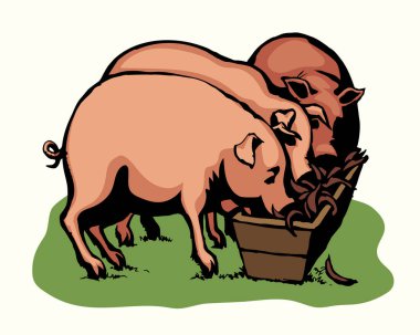 Koca göbekli, pis burunlu yaşlı erkek domuz ahırı kasabı fikri beyaz bahçedeki çamuru ortaya çıkardı. Esmer çizgili siyah çizgili el retro sanat küçük şişman göbekli dişi domuz ağızlık.