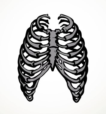 Öndeki beyaz kadın, eklem eklem ağrısı, kol ağrısı, hastane, tedavi, röntgen filmi logosu. Elle çizilmiş kadın doktor röntgeni ölü erkek omurilik rahatsızlığı, akciğer ağrısı sınavı karalama çizimi.