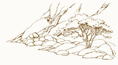 Doğu Arap İnciline ait eski bir Afrika kayalık kanyonu uçurumu, yamaçtaki yemyeşil çalı, manzaralı beyaz gökyüzü metin alanı manzarası. Siyah mürekkep kalem el çizilmiş Sıcak Asyalı sahne retro karikatür sanat dolap tarzı