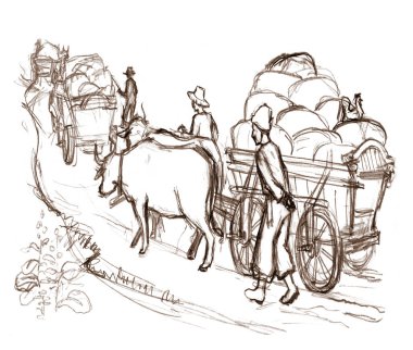 Zavallı adam, tramvay, telga, buğday hasadı, balya torbası tüccarı. El çizimi sanatçısı çocuk yürü yürü git boynuzlu boğa çek kırsal öküz çek kirli Asya kır çimleri doğası beyaz gökyüzü manzarası