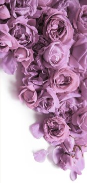 Eski moda sanat yumuşak sonbahar pastel krem renginde aroma yığını metin kopyalama alanı. Güzel, kırsal, şenlikli, parlak, bereketli bahar tomurcuğu dekoru dekoru, hediye günü kartı. Üst manzara afişini kapat.