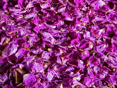 Eski sanat eseri parlak pembe mor koku spa çiçekli botanik yağ yığını metin kopyalama uzayı. Güzellik retro kırsal yaz tomurcuğu detoks diyet aşk sembolü evli kartı üst makro görünüm tatil çerçeve tasarımı kapatın