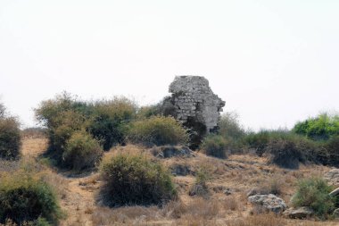 Parktaki eski kalıntılar, Ashkelon, İsrail