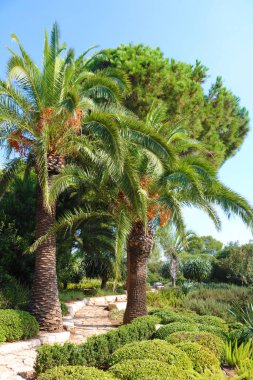 Ramat Hanadiv, Baron Edmond de Rothschild, Zichron Yaakov, İsrail Memorial Gardens park