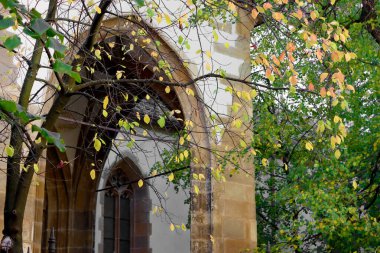 Saint Mary Luteryan Katedrali ve Romanya 'nın Transilvanya, Sibiu kentinde sonbahar yaprakları