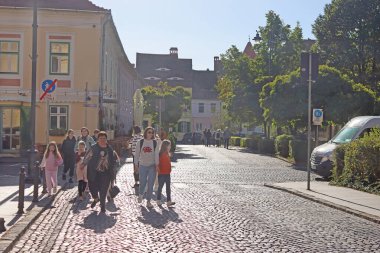 Sibiu, Romanya - 14 Ekim 2023: Timotei Popovici Caddesi