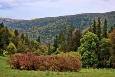 Romanya 'nın Sinaia kentindeki Peles şatosu yakınlarında sonbaharda Karpat Dağları