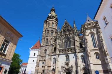 Slovakya 'nın Kosice kentindeki St. Elizabeth Katedrali