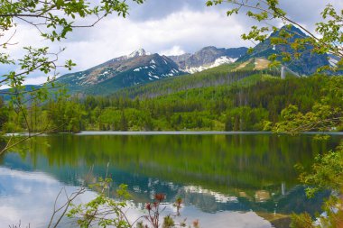 Strbske pleso, buzul kökenli pitoresk dağ gölü ve Slovakya 'nın High Tatras kentinde önemli bir turizm merkezi.