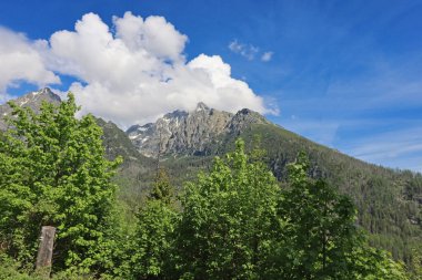 Yüksek Tatras dağlarının manzarası. Yürüyen patika Hrebienok, Stary Smokovec, Slovakya