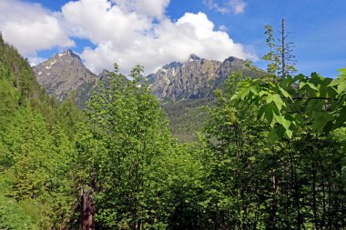 Yüksek Tatras dağlarının manzarası. Yürüyen patika Hrebienok, Stary Smokovec, Slovakya