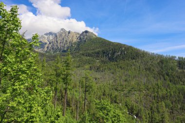 Lomnica Tepesi manzarası. Yürüyen patika Hrebienok, Stary Smokovec, High Tatras dağları. Slovakya