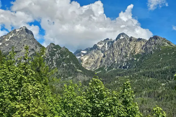 Yüksek Tatras dağlarının manzarası. Yürüyen patika Hrebienok, Stary Smokovec, Slovakya