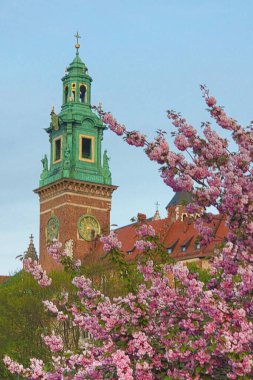 Wawel Katedrali ve Sakura, Krakow, Polonya