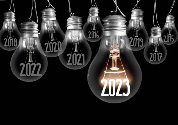 Horizontal Group Shining Light Bulbs Fiber Shape New Year 2023 — Stock Photo, Image