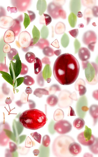 クランベリーの果実片 スライスと白に隔離された葉で作られた抽象的な背景 — ストック写真