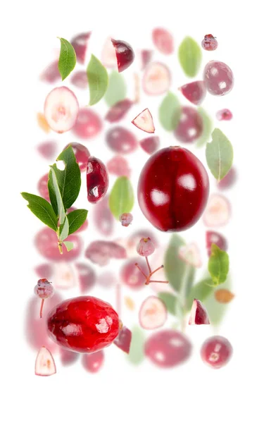 クランベリーの果実片 スライスと白に隔離された葉で作られた抽象的な背景 — ストック写真
