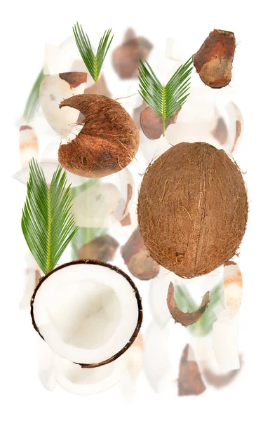椰子果片 切片和叶子在白色上分离制成的文摘背景 — 图库照片