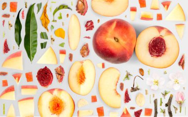 Gri arka planda izole edilmiş şeftali meyveleri, dilimler ve yapraklardan oluşan soyut arkaplan.