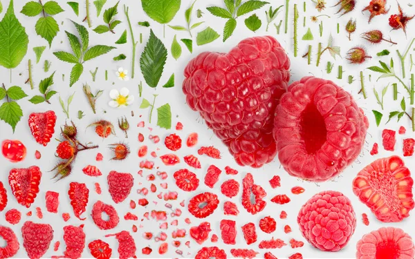 Abstract Background Made Raspberry Fruit Pieces Slices Leaves Isolated Gray — Stock Photo, Image