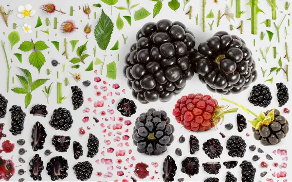 Abstrakter Hintergrund Aus Brombeerfruchtstücken Scheiben Und Blättern Isoliert Auf Grauem — Stockfoto