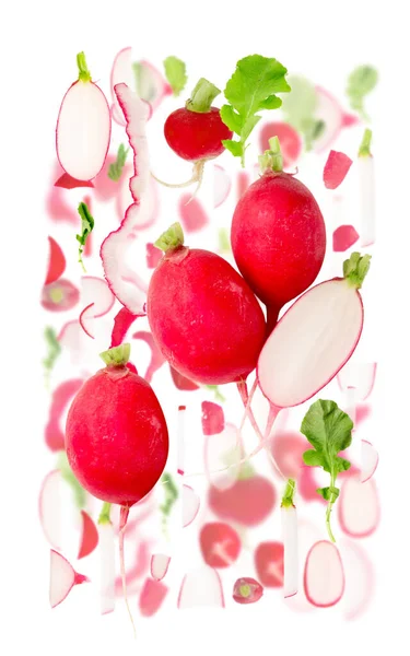 Abstract Background Made Radish Vegetable Pieces Slices Leaves Isolated White — Stock Photo, Image