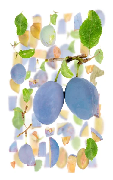 Abstrakt Bakgrund Gjord Plommon Frukt Bitar Skivor Och Blad Isolerade — Stockfoto