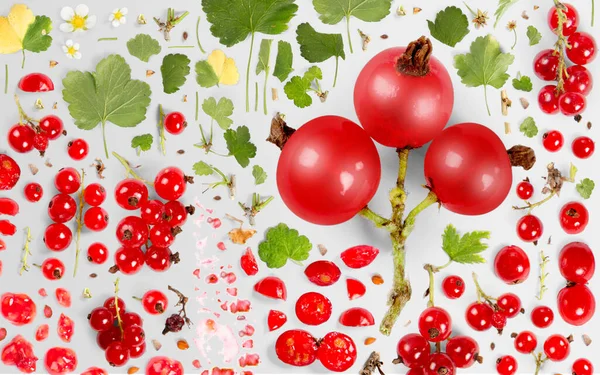 Abstrakcyjne Tło Wykonane Kawałków Owoców Czerwonej Porzeczki Plasterków Liści Wyizolowanych — Zdjęcie stockowe
