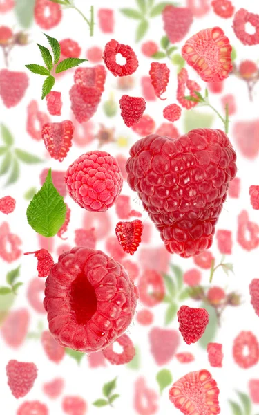 Abstract Background Made Raspberry Fruit Pieces Slices Leaves Isolated White — Stock Photo, Image