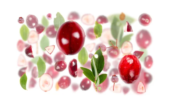 Fundo Abstrato Feito Pedaços Frutas Cranberry Fatias Folhas Isoladas Branco — Fotografia de Stock