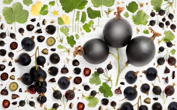 Absztrakt Háttér Készült Fekete Ribizli Gyümölcs Darabok Szeletek Levelek Alapon — Stock Fotó