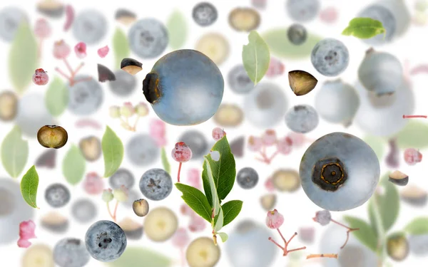 ブルーベリーの果実片 スライス 葉からなる抽象的な背景は白で隔離されています — ストック写真
