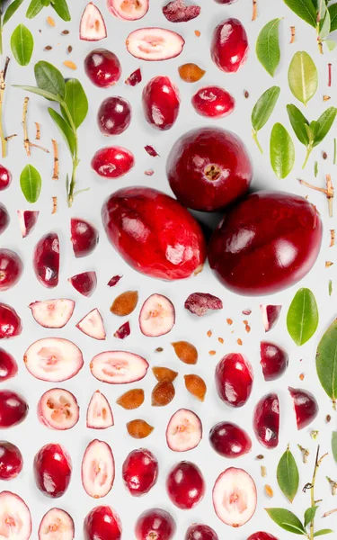 Cranberry Fruchtstück Scheibe Und Blatt Sammlung Flach Nahtlos Abstrakt Isoliert — Stockfoto