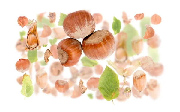Abstrakter Hintergrund Aus Haselnussstücken Scheiben Und Blättern Isoliert Auf Weiß — Stockfoto