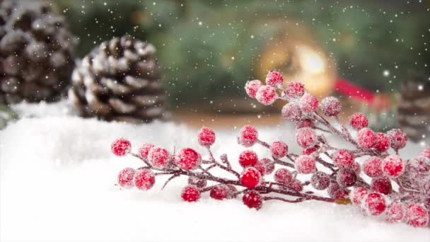 静谧的生活 雪地上覆盖着红色的易碎枝条 松果和云杉分枝在后面 降雪的效果 圣诞节 假日和冬季的概念 优质4K视频 — 图库视频影像