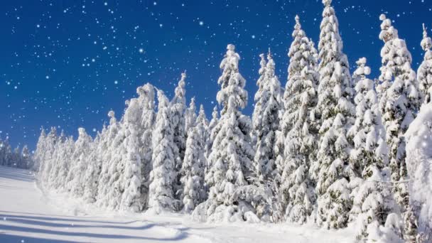 雪に覆われた青空の冬の森 降雪効果について 冬と季節のコンセプト 高品質の4Kビデオ — ストック動画