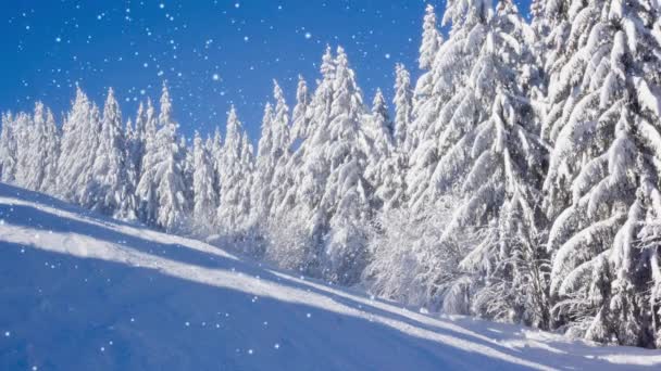 Зимовий Ліс Блакитним Небом Вкритий Снігом Падіння Снігового Ефекту Зимова — стокове відео